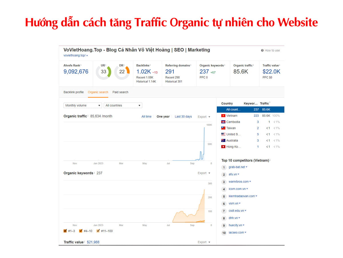 Hướng dẫn cách tăng Traffic Organic tự nhiên cho Website