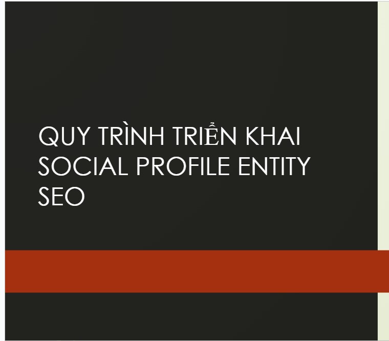 Social profile entity là gì?